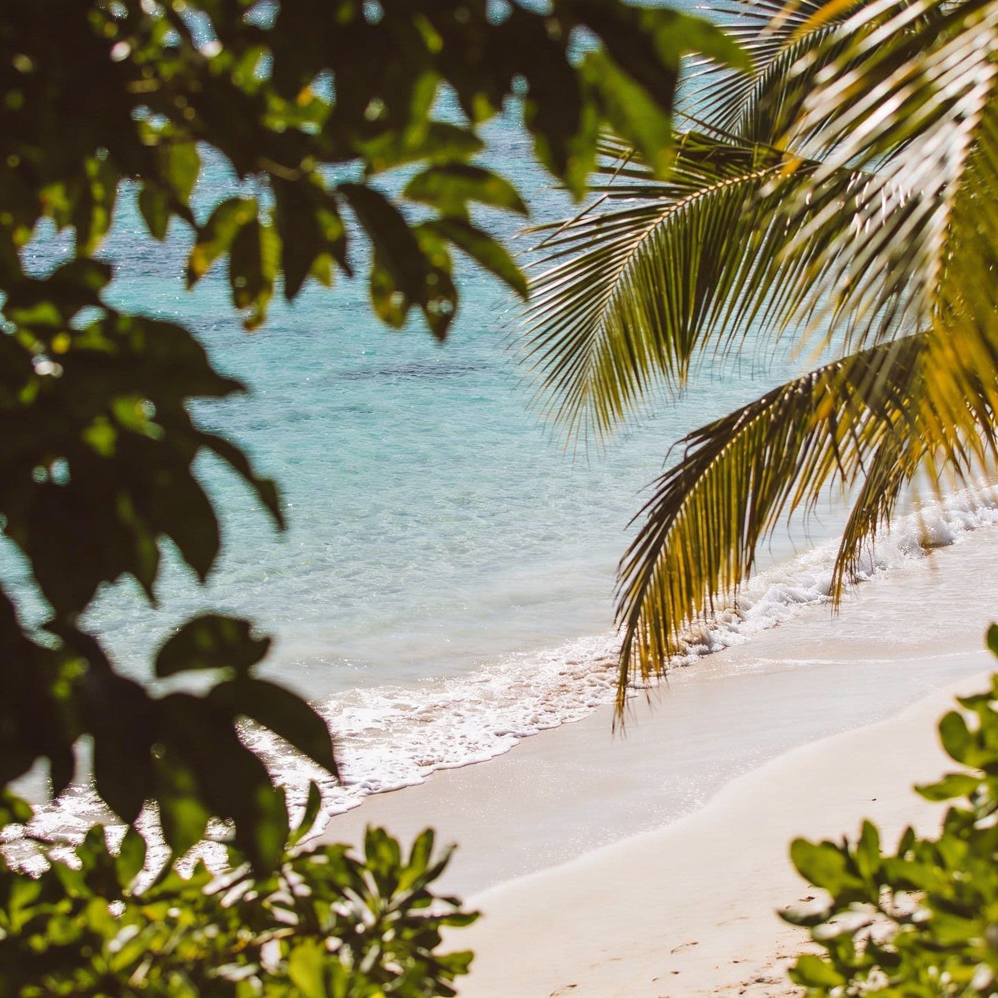 Beyond the Public Shore: Discovering T&T’s Most Exclusive (and Secret) Beachfront Settings